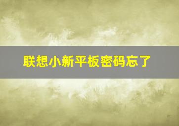 联想小新平板密码忘了