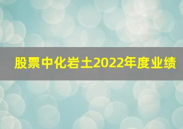 股票中化岩土2022年度业绩