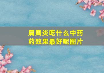 肩周炎吃什么中药药效果最好呢图片