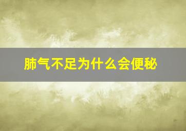 肺气不足为什么会便秘