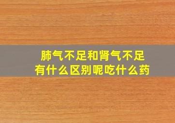 肺气不足和肾气不足有什么区别呢吃什么药