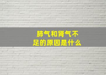 肺气和肾气不足的原因是什么