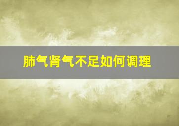 肺气肾气不足如何调理