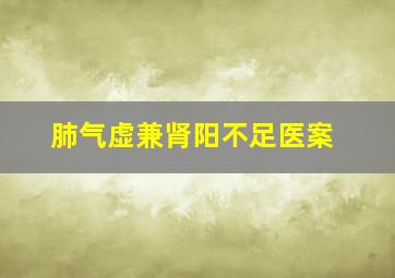 肺气虚兼肾阳不足医案