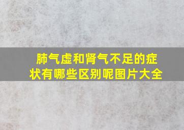 肺气虚和肾气不足的症状有哪些区别呢图片大全