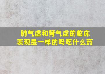 肺气虚和肾气虚的临床表现是一样的吗吃什么药