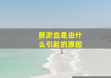 肺淤血是由什么引起的原因