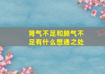 肾气不足和肺气不足有什么想通之处