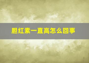 胆红素一直高怎么回事