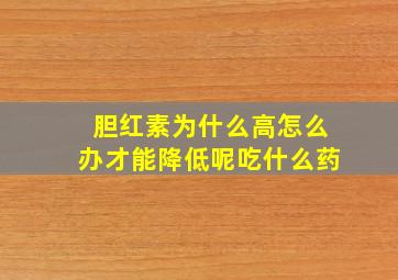 胆红素为什么高怎么办才能降低呢吃什么药