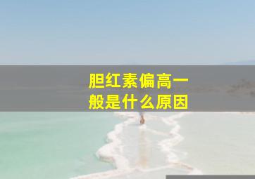 胆红素偏高一般是什么原因