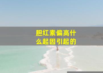 胆红素偏高什么起因引起的