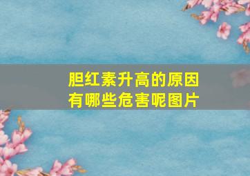 胆红素升高的原因有哪些危害呢图片