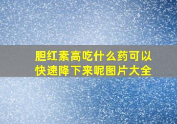 胆红素高吃什么药可以快速降下来呢图片大全