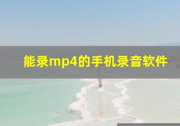 能录mp4的手机录音软件