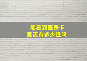 能看到医保卡里还有多少钱吗