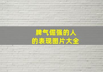 脾气倔强的人的表现图片大全