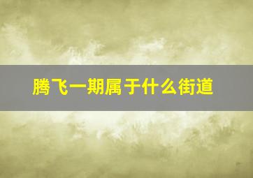 腾飞一期属于什么街道