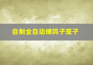 自制全自动捕鸽子笼子