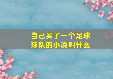 自己买了一个足球球队的小说叫什么