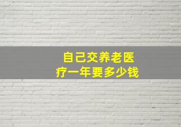 自己交养老医疗一年要多少钱