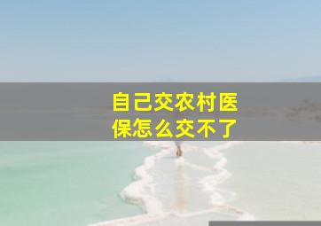 自己交农村医保怎么交不了