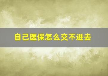 自己医保怎么交不进去