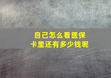 自己怎么看医保卡里还有多少钱呢