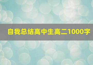 自我总结高中生高二1000字