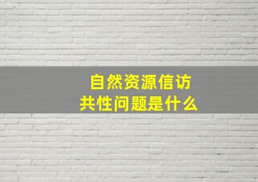 自然资源信访共性问题是什么