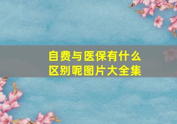 自费与医保有什么区别呢图片大全集