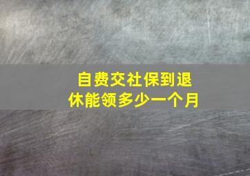 自费交社保到退休能领多少一个月