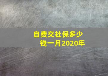 自费交社保多少钱一月2020年