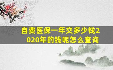 自费医保一年交多少钱2020年的钱呢怎么查询