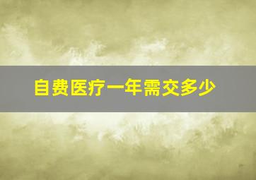 自费医疗一年需交多少