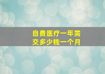 自费医疗一年需交多少钱一个月