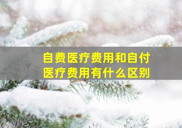 自费医疗费用和自付医疗费用有什么区别