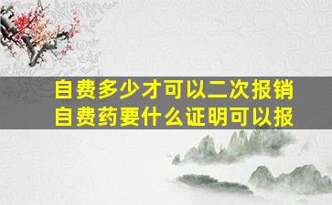 自费多少才可以二次报销自费药要什么证明可以报