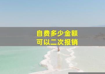 自费多少金额可以二次报销