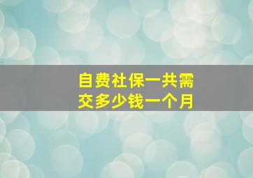 自费社保一共需交多少钱一个月