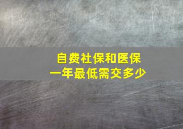 自费社保和医保一年最低需交多少