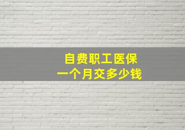 自费职工医保一个月交多少钱