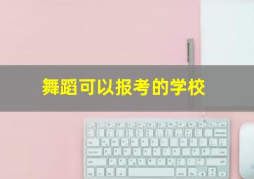 舞蹈可以报考的学校