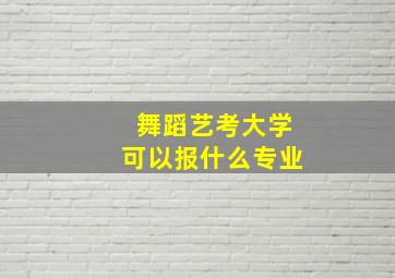 舞蹈艺考大学可以报什么专业