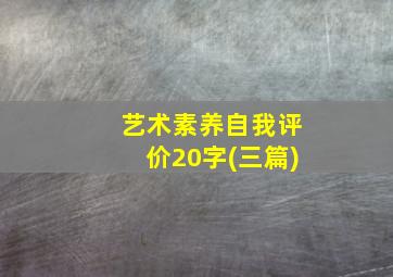 艺术素养自我评价20字(三篇)