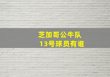 芝加哥公牛队13号球员有谁