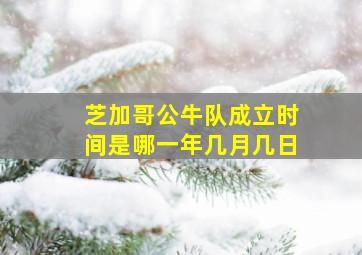 芝加哥公牛队成立时间是哪一年几月几日