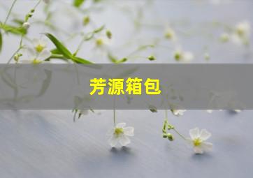 芳源箱包