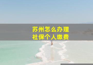 苏州怎么办理社保个人缴费