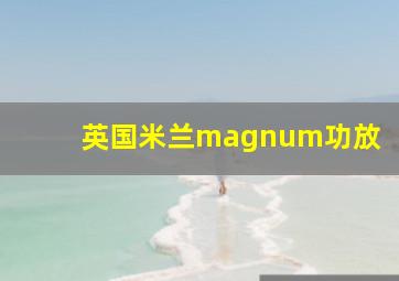 英国米兰magnum功放